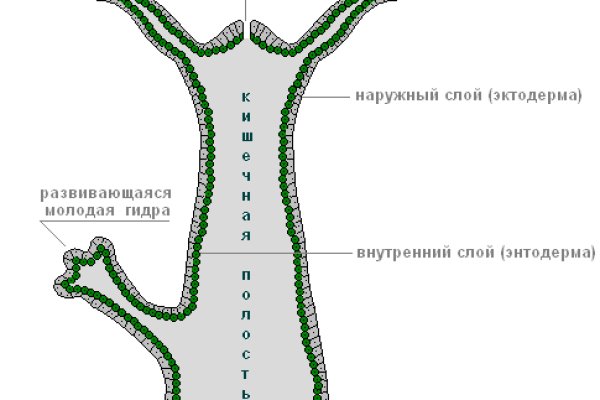 Как регистрироваться и заходить на кракен даркнет